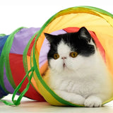 interactive cat tunnel toy