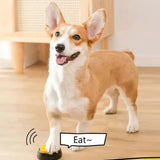 pet communication buttons with voice recording