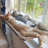 cat window hammock perch