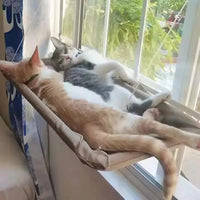 Sunny Cat Window Hammock shopify