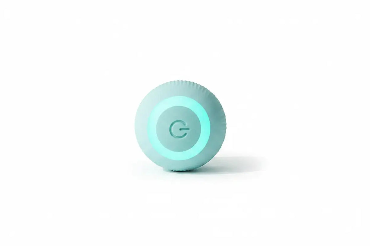 Interactive Cat Ball