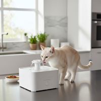 Pet Water Fountain lifestyle