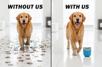 Without us / With us - Pet Paw Cleaning Cup